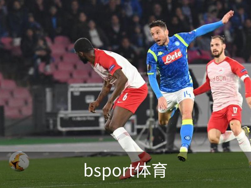 bsport体育品牌故事